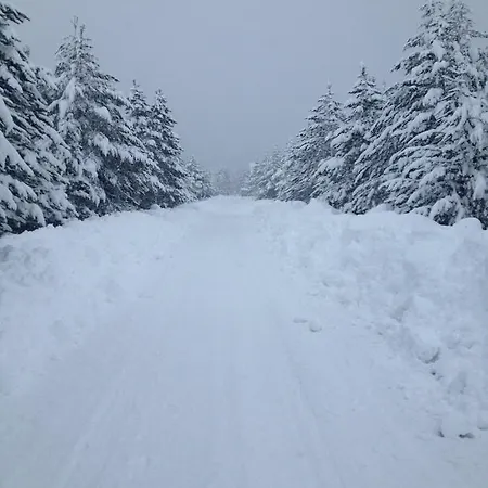 Domek alpejski Vikendica Vjeverica *