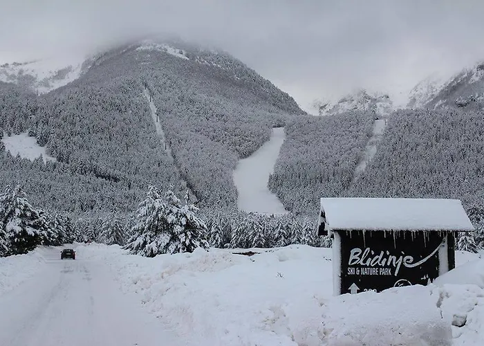 シャレー Vikendica Vjeverica Risovac
